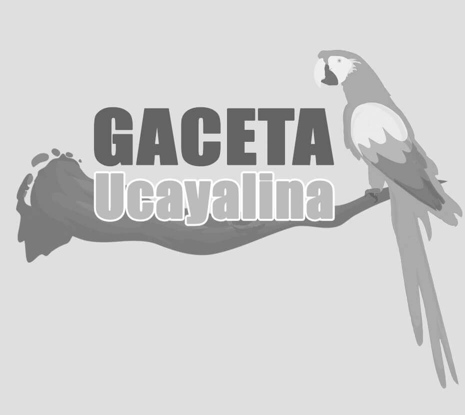 Reunión Estratégica: Autoridades Educativas de Ucayali presentan problemáticas y propuestas a la presidenta Dina Boluarte