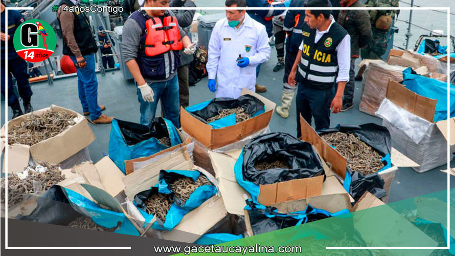 Presentan iniciativas para combatir el tráfico ilegal de fauna y flora silvestre en Perú