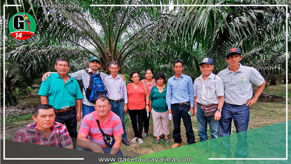 San Martín: elaboran primer estudio a nivel de paisajes de Altas Reservas de Carbono