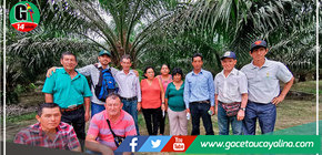 San Martín: elaboran primer estudio a nivel de paisajes de Altas Reservas de Carbono