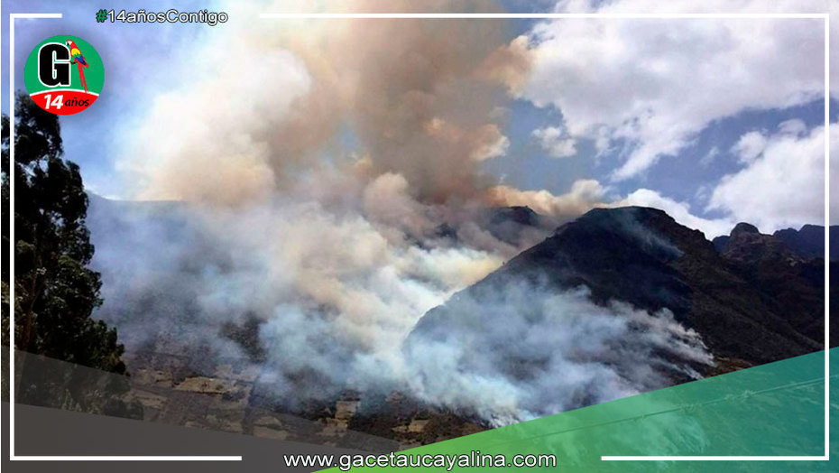 Cusco: condenan a 10 años de cárcel a causante de incendio forestal y muerte de 3 personas