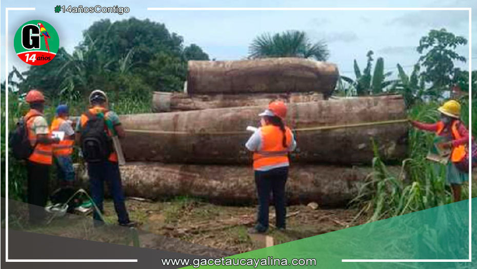 Osinfor capacita a 141 personas del sector La Pampa en temas forestales