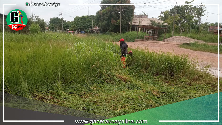 Áreas verdes y colegios son atendidos por municipalidad yarinense