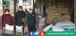 Junín: entregan más de 75 toneladas de semillas de pastos a familias de 7 provincias