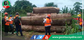 Osinfor capacita a 141 personas del sector La Pampa en temas forestales