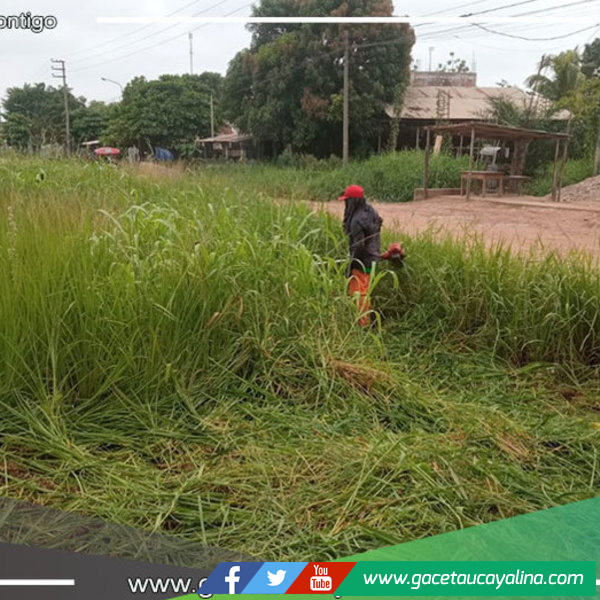 Áreas verdes y colegios son atendidos por municipalidad yarinense