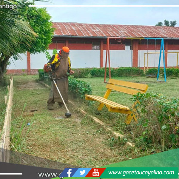 Los parques y jardines de Yarinacocha se encuentran impecables 