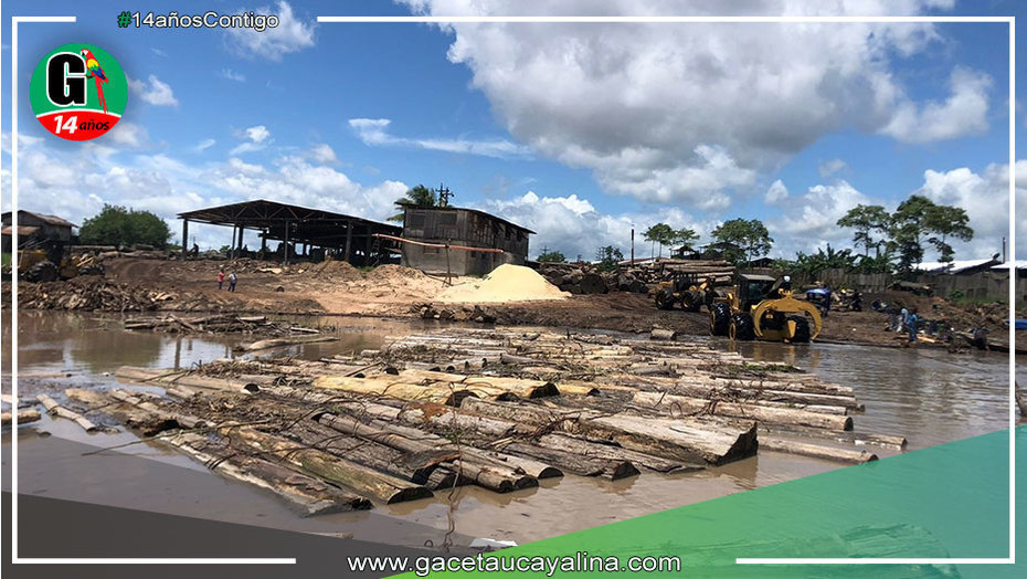 Fiscalía Ambiental dispuso incautación de madera de presunta procedencia ilegal en Ucayali