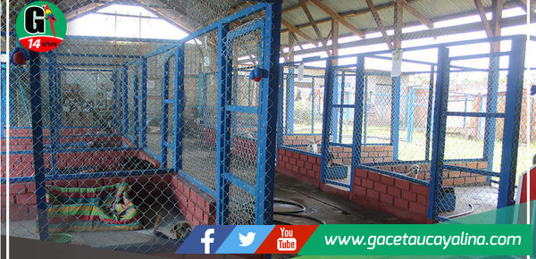 Centro canino municipal continúa con noble labor de recuperar la salud de animales en condición de abandono 