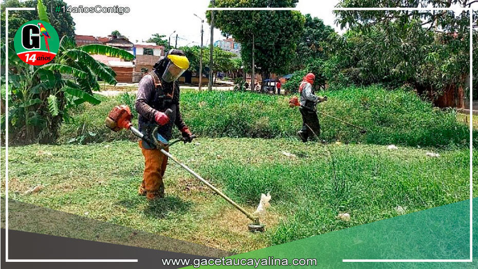 Yarinacocha embellece sus áreas verdes