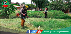 Yarinacocha embellece sus áreas verdes 