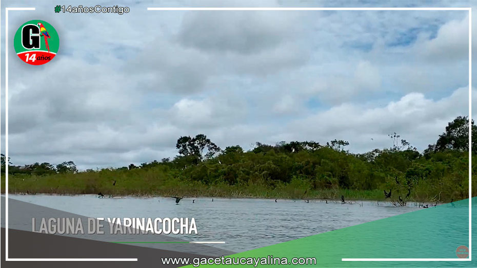 Disfruta de la Imponente Laguna de Yarinacocha