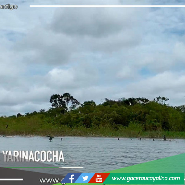 Disfruta de la Imponente Laguna de Yarinacocha