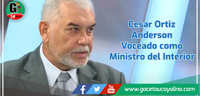 Se vocea que un analista y experto en Seguridad Ciudadana sería el próximo ministro del Interior