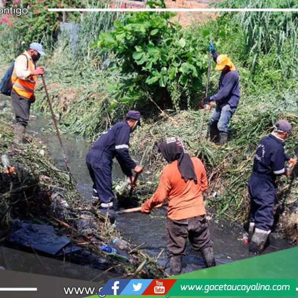 Trabajadores de Municipalidad de Yarinacocha realizan Limpieza de caño natural en la Lupuna