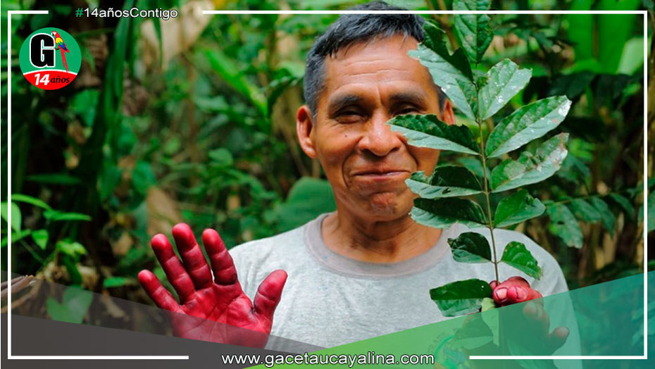 Conoce las cinco nuevas áreas de conservación privada reconocidas en Cusco y Madre de Dios