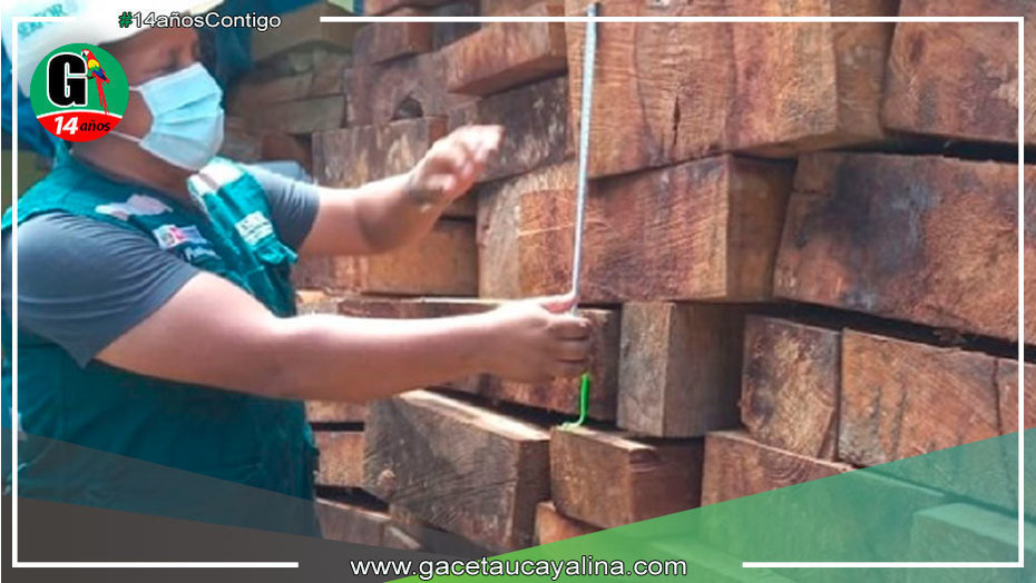 Serfor decomisa 10 000 pies tablares de madera en puesto de control El Pedregal