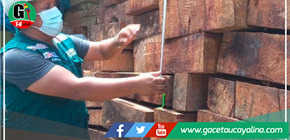 Serfor decomisa 10 000 pies tablares de madera en puesto de control El Pedregal