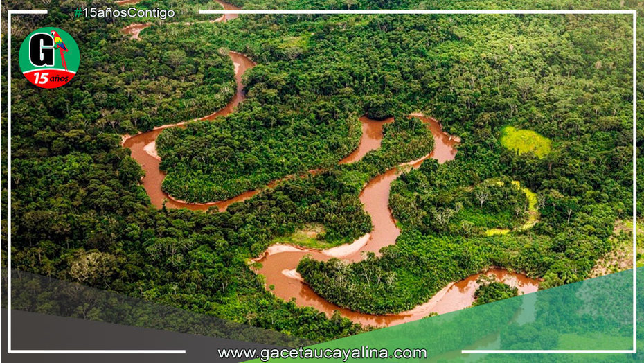 Especialistas de 10 países participan de encuentro por el clima y los bosques