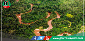 Especialistas de 10 países participan de encuentro por el clima y los bosques 