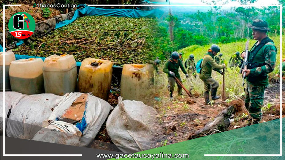 El gobierno erradicó más de 20 000 hectáreas de hoja de coca destinadas al narcotráfico