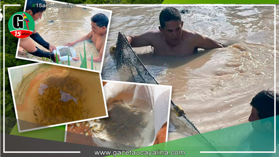 Refinca promueve la crianza de peces amazónicos para impulsar la autosostenibilidad económica