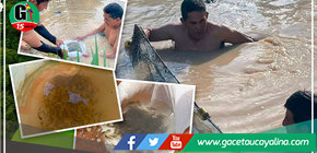 Refinca promueve la crianza de peces amazónicos para impulsar la autosostenibilidad económica