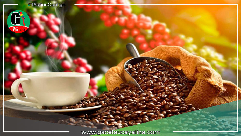 40 tipos de café de ocho regiones compiten por ser el mejor