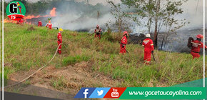 Bomberos advierten un incremento de incendios forestales en Pucallpa 
