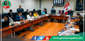 Congresista ucayalina Francis Paredes expone Proyecto de Ley en favor de los trabajadores