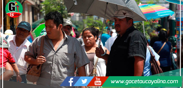 Temperatura diurna en la Selva superaría los 36 grados