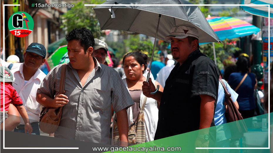Temperatura diurna en la Selva superaría los 36 grados