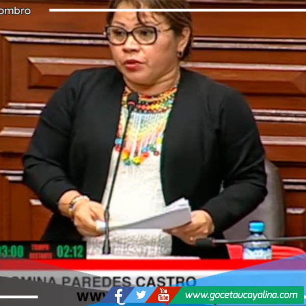 Congresista ucayalina pide que se incluya aumento de sueldos para auxiliares de educación