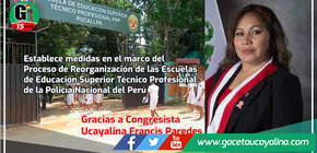 Establece medidas en el marco del Proceso de Reorganización de las Escuelas de Educación Superior Técnico Profesional de la Policía Nacional del Perú