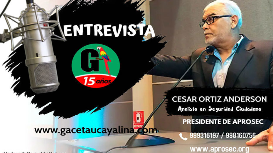 Cesar Ortiz Anderson: ¿Por qué Dina Boluarte debe dar un paso al costado?