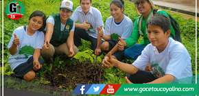 Educación ambiental y arborización de especies nativas en el caserío “Las Malvinas” distrito de Curimaná