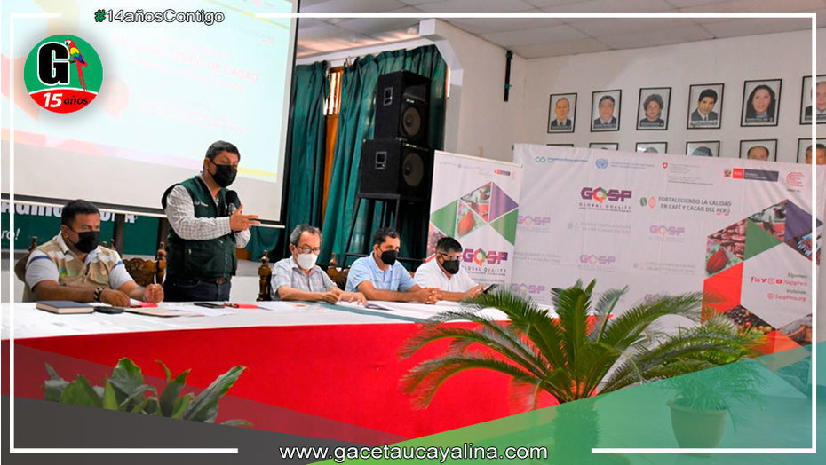 Organizan concurso sobre calidad del cacao para consolidar su producción en Tarapoto