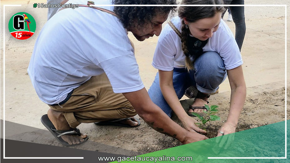 Yarinenses salieron a plantar 200 árboles de Tahuarí