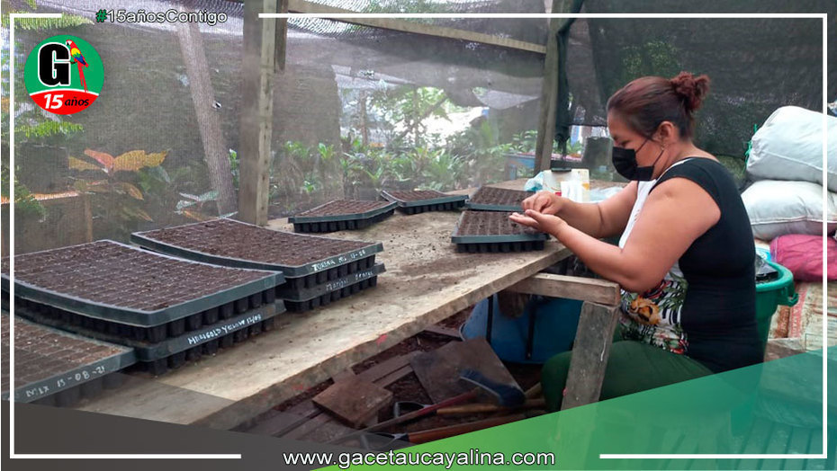 Vivero municipal de Yarinacocha cuenta con más de 2 mil plantas para embellecer el distrito