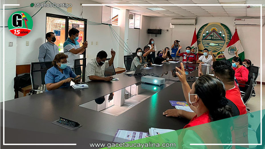 Aprueban plan de trabajo para la prevención y erradicación del trabajo infantil en Ucayali