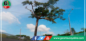 Municipalidad de Yarinacocha envia Comunicado sobre Parque la Lupuna