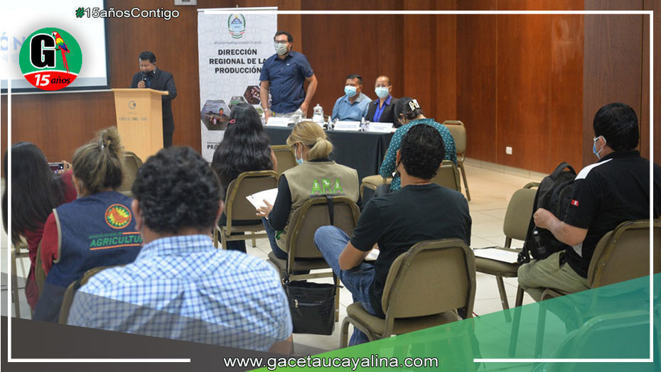 Dirección Regional de la Producción impulsa formalización de productores de carbón vegetal