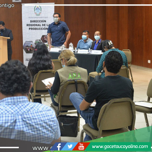 Dirección Regional de la Producción impulsa  formalización de productores de carbón vegetal 