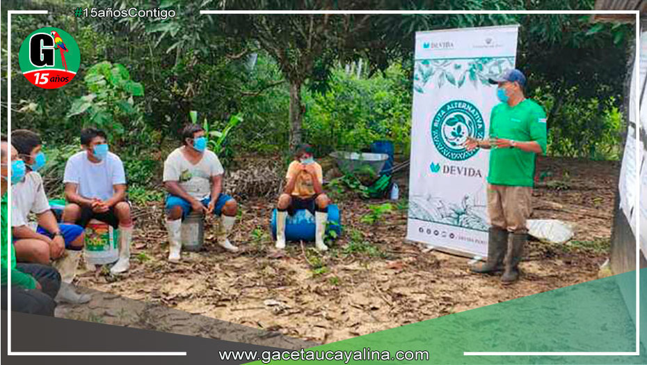 Devida beneficia más de 1400 familias con biofertilizante orgánico para mejorar la calidad del cacao en Codo del Pozuzo