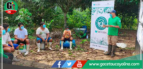 Devida beneficia más de 1400 familias con biofertilizante orgánico para mejorar la calidad del cacao en Codo del Pozuzo