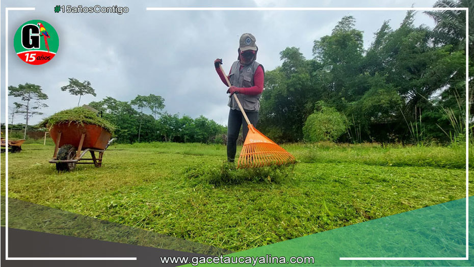 Los Parques y jardines de Yarinacocha siempre atendidos por Municipalidad