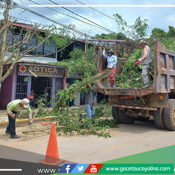 Embellecimiento de áreas verdes en Yarinacocha