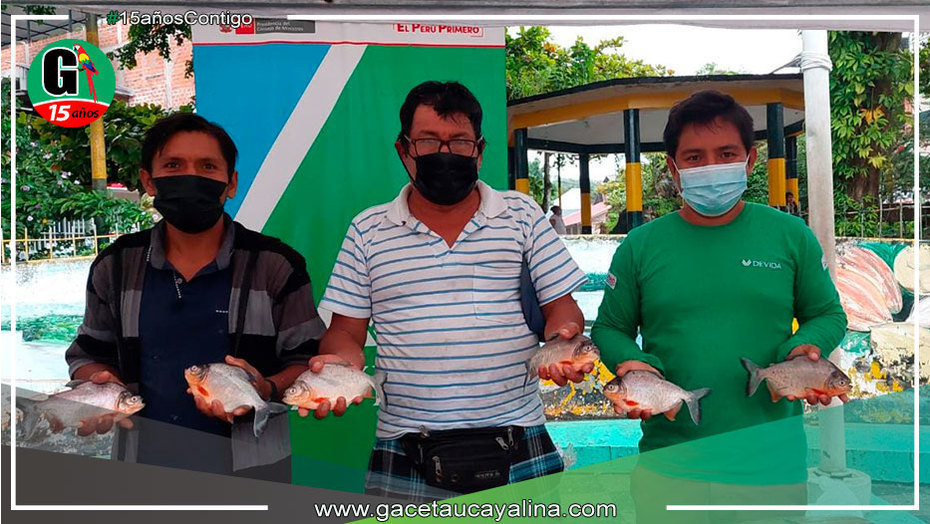 Piscicultores promovidos por Devida comercializaron 2600 kilos de pescado amazónicos por Semana Santa