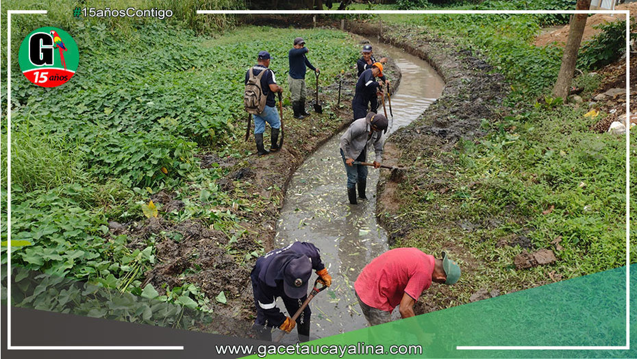 Trabajadores de municipalidad de Yarinacocha limpian caño natural del Jr. Iparía