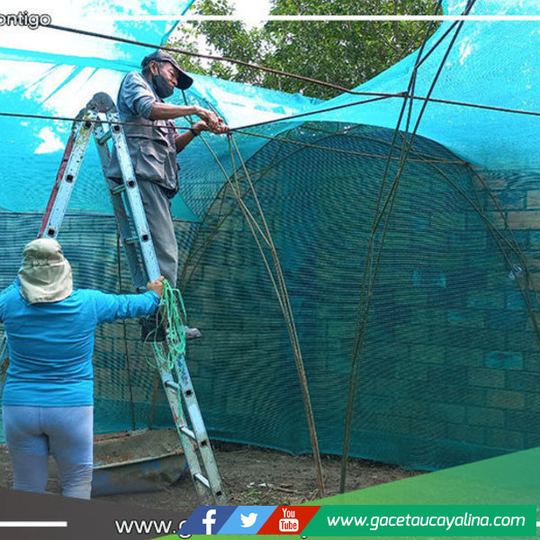 Vivero municipal de Yarinacocha se trasladará detrás del Campo Ferial